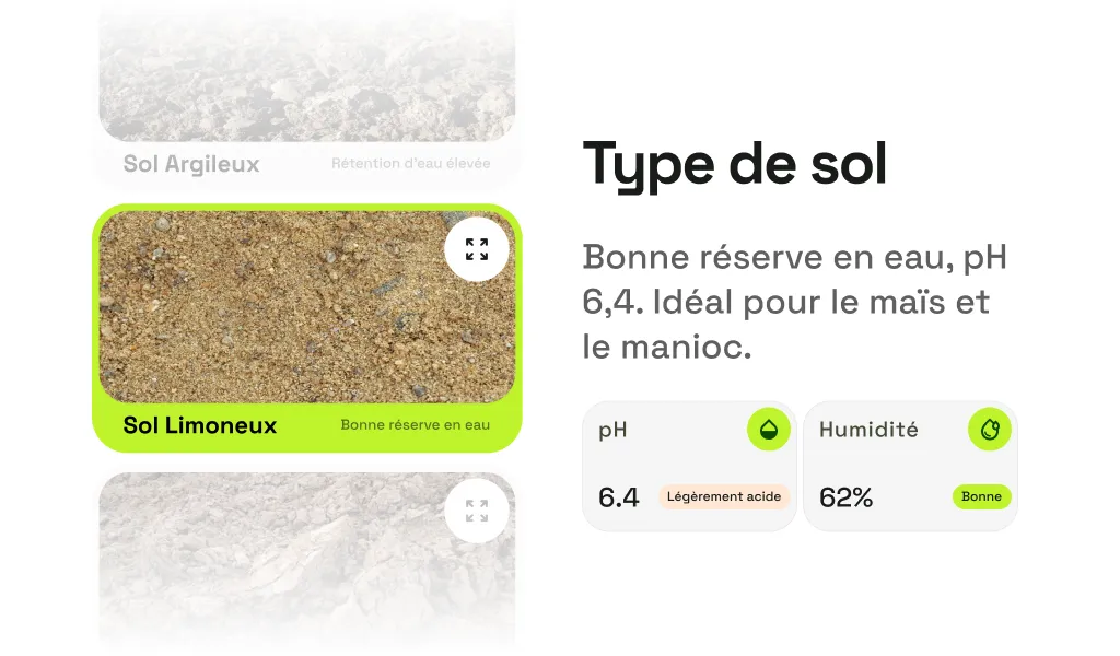 Aperçu de l’application