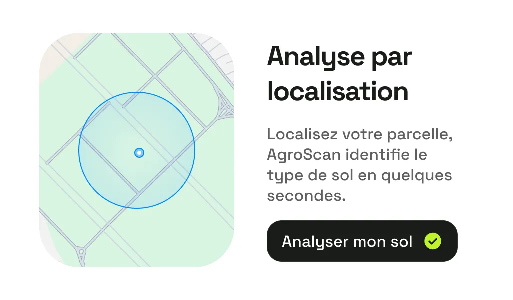 Aperçu de l’application