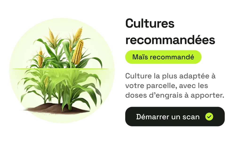Aperçu de l’application