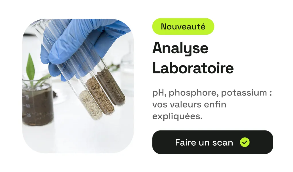 Aperçu de l’application